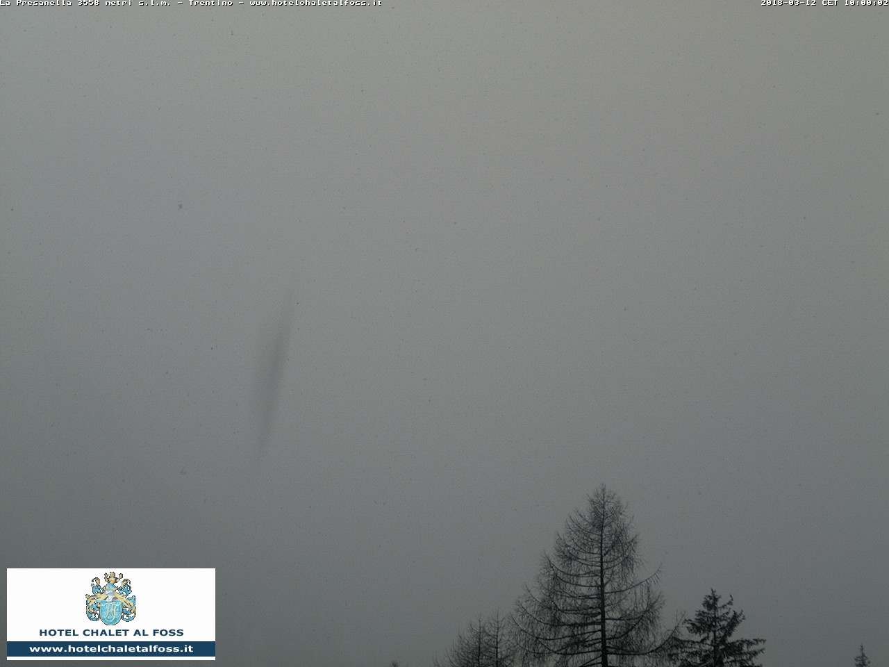 Preview delle webcam di Vermiglio (TN)